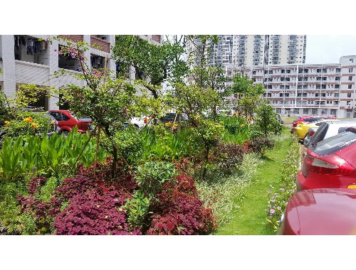 乌鲁木齐市绿化工程