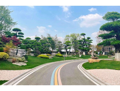 威廉希尔足球官网：徐汇区绿化工程哪家强些