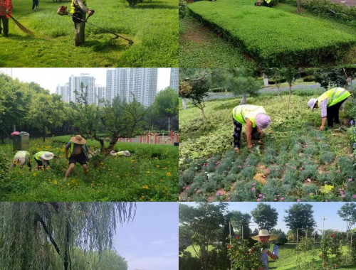 寻乌园林绿化工程