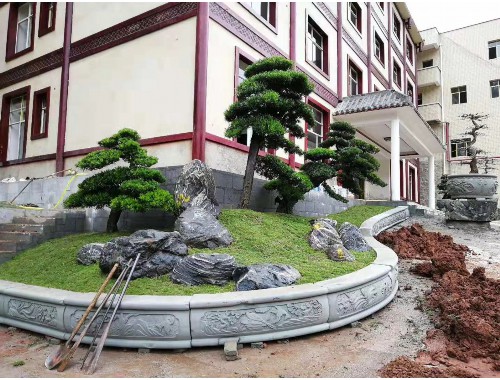 威廉希尔足球官网：项城市迎宾大道绿化工程