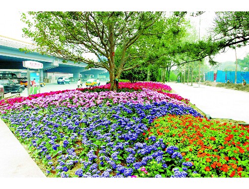 威廉希尔足球官网：襄阳市园林绿化工程验收